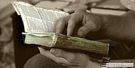 Daily Bible Study
