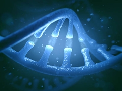 Why DNA Will BLOW Your Mind