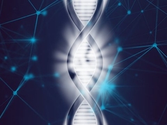 DNA and the Bible - The Connection