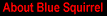 About Blue Squirrel