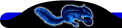 Blue Squirrel